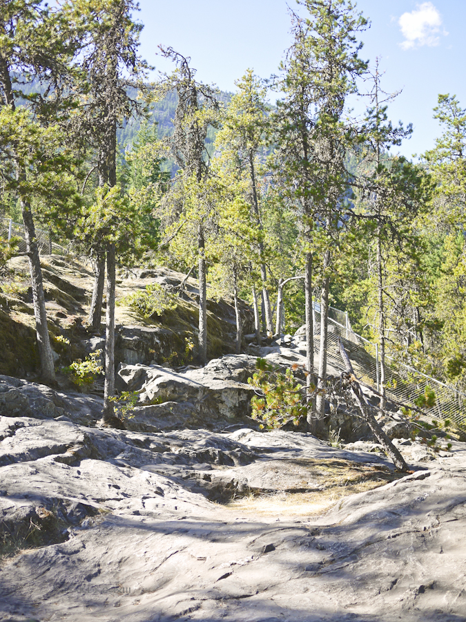 26c5c-falls-nairn-21-1160974