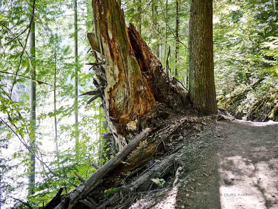 275ea-falls-nairn-04-1160918