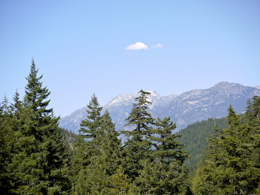 34e4d-falls-nairn-20-1160960