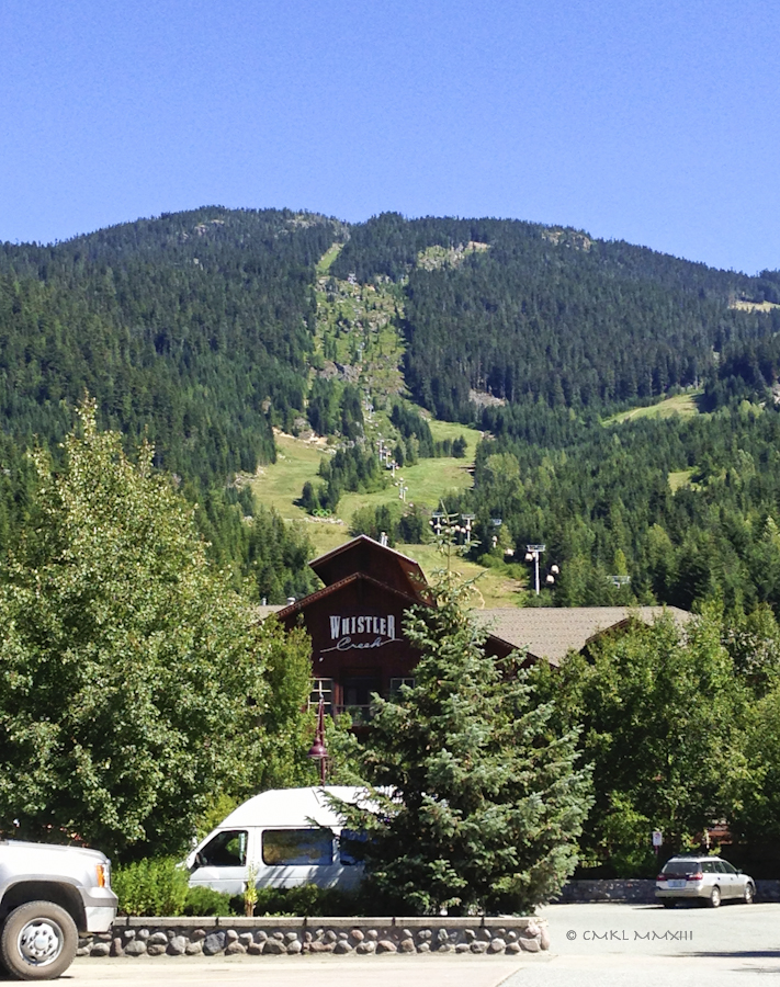 649da-falls-whistler-02-2878