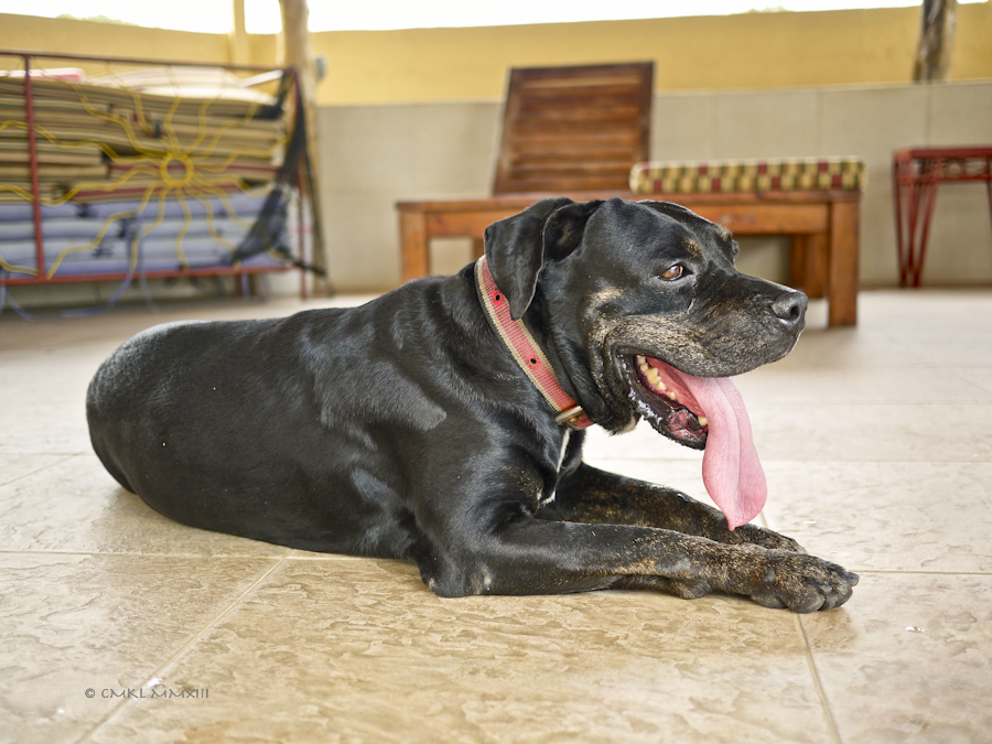 8b4d9-beachwalk-11-1170948