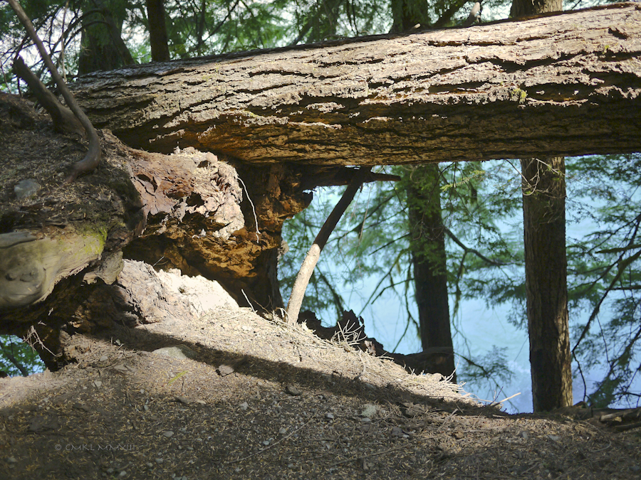 947c6-falls-nairn-09-1160931