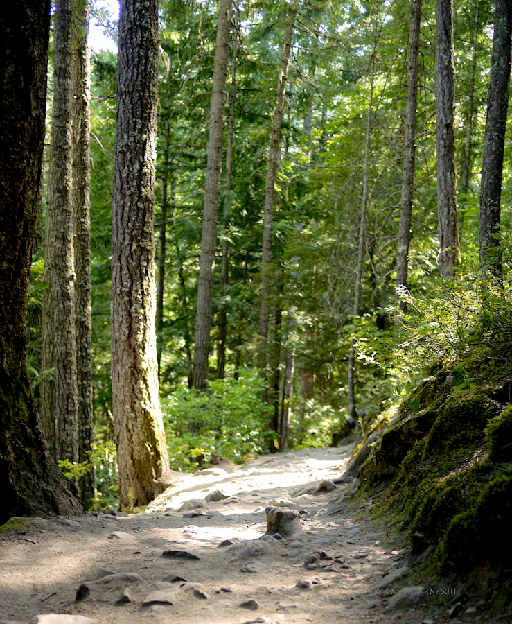 f88e6-falls-nairn-12-1160937