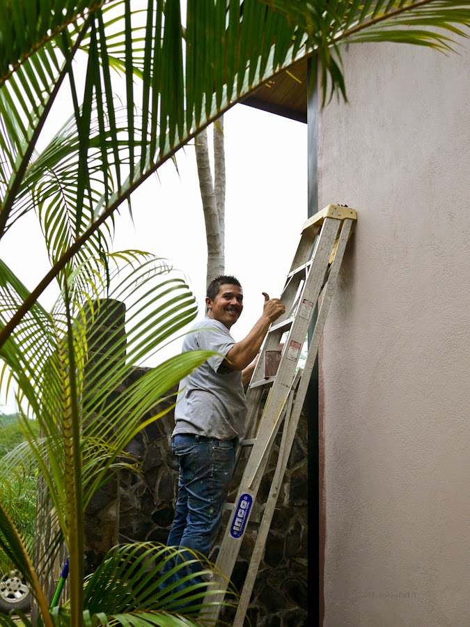 165c2-planting-05-1190314