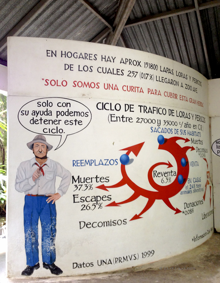 340f6-zoo-ave-06-3779