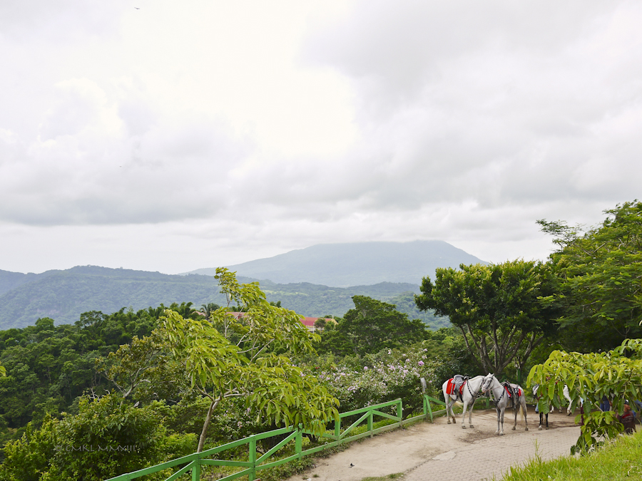 34a2e-catarina-01-1180149