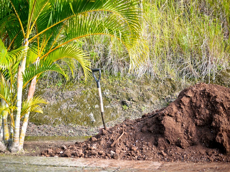 6b7e9-dayone-05-1190276