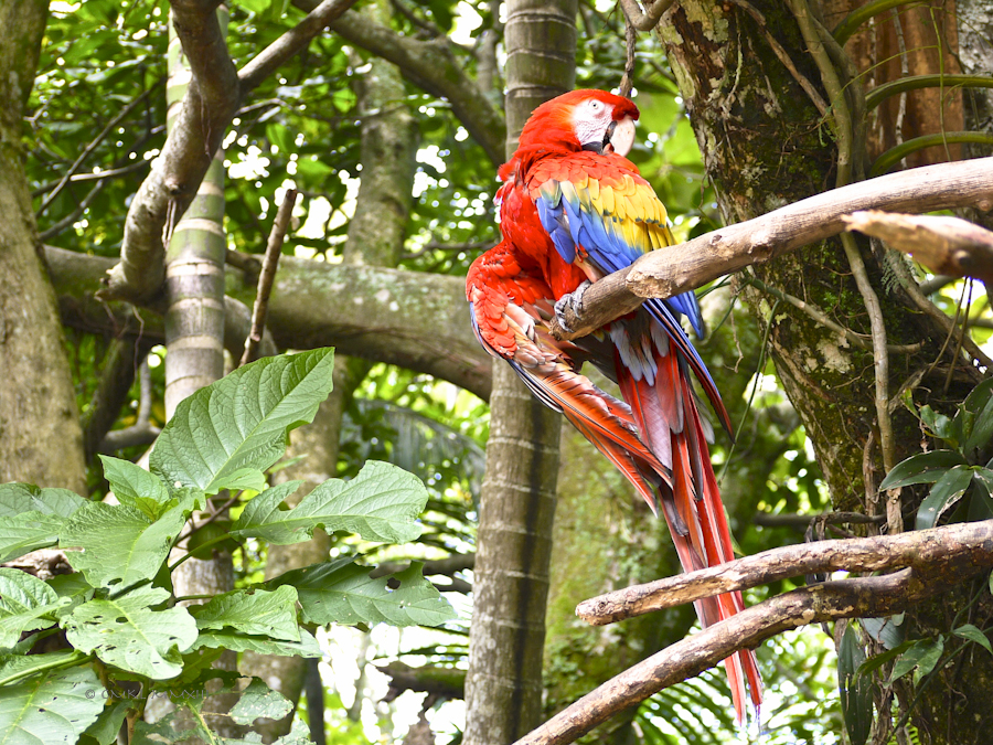 72eee-zoo-ave-08-1180740