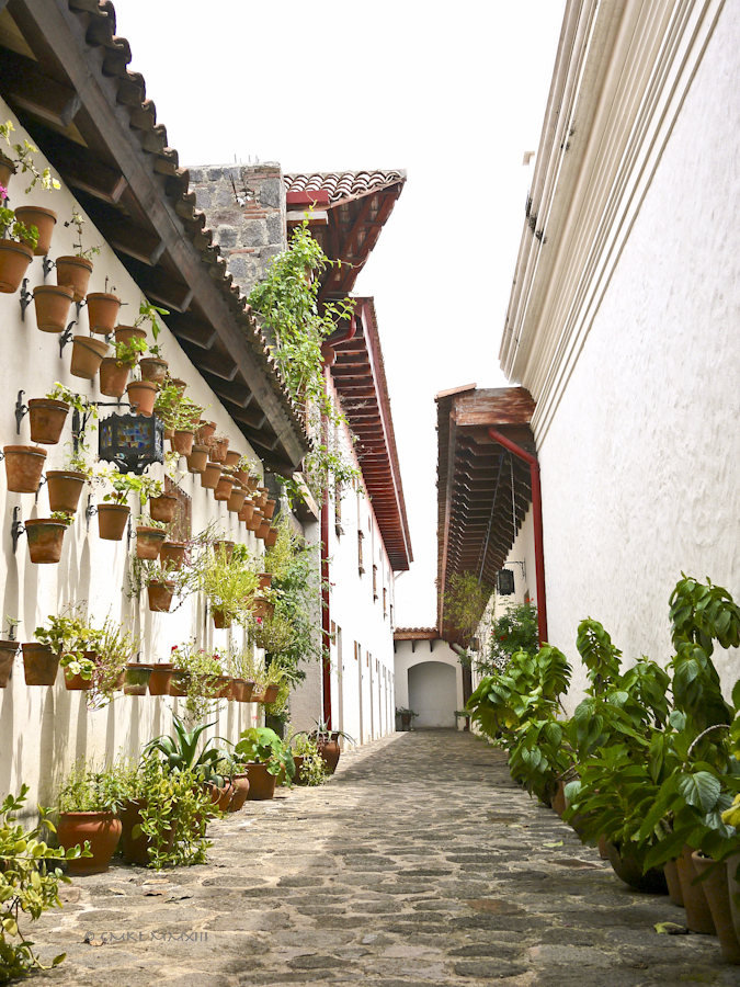 8d3f1-granada-08-1180257