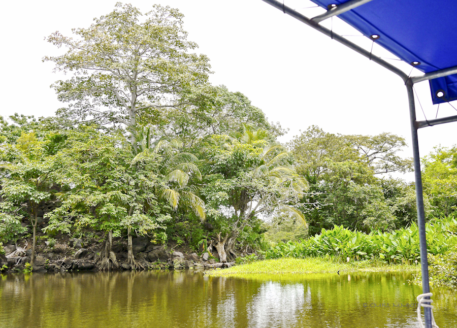 b6c01-lakenica-01-1180163