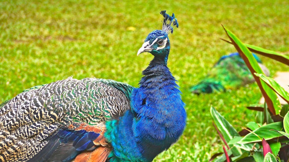 d6c71-p1190198_edited-2