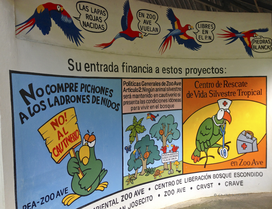 dc4ca-zoo-ave-05-3775