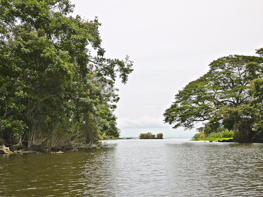 fbcc1-lakenica-03-1180166