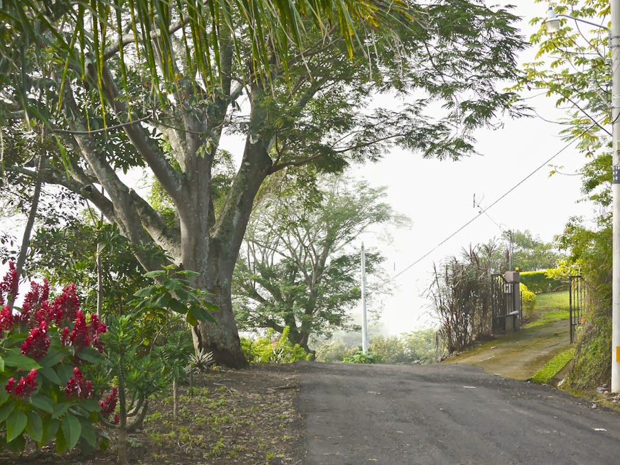 ffe61-dayone-1190265