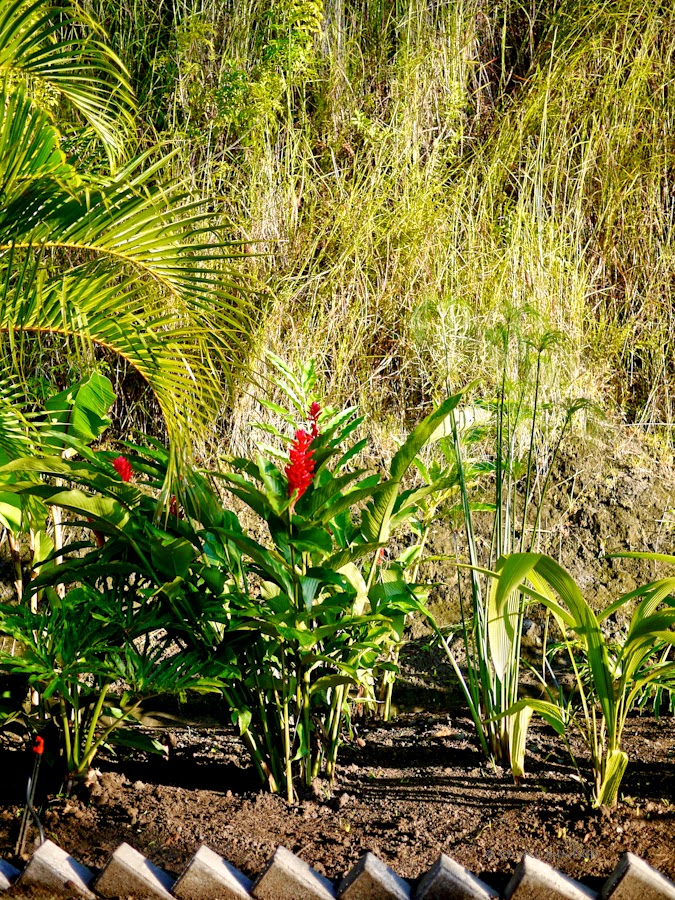 02bce-garden-finished-05-1200061