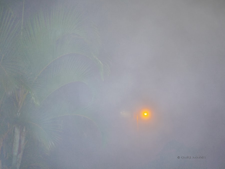 866e4-nebellicht-1190296