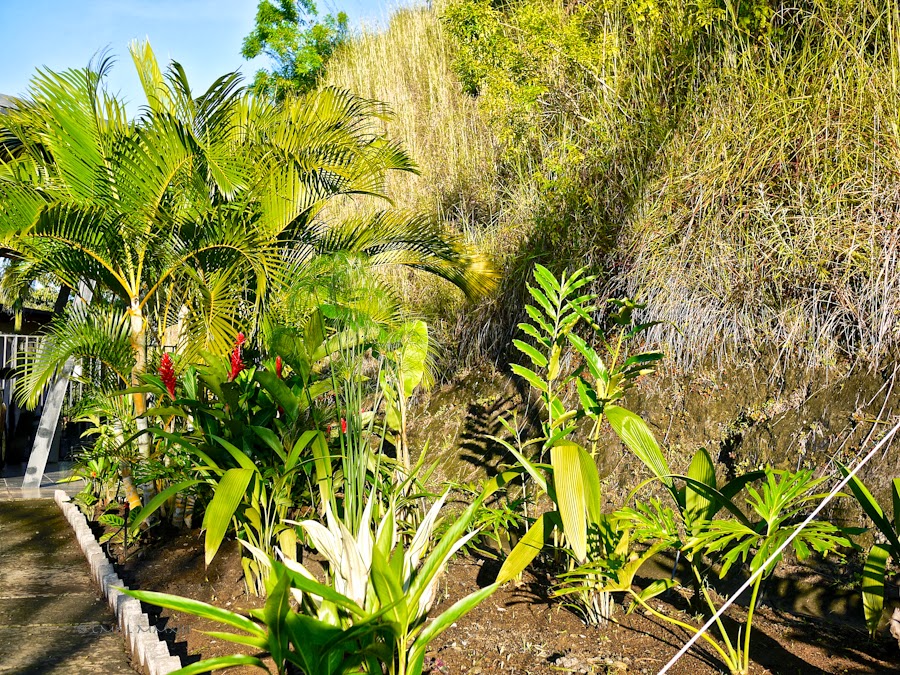 b1ba0-garden-finished-03-1200074