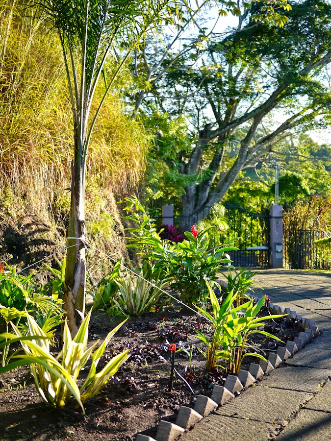 bd910-garden-finished-02-1200070