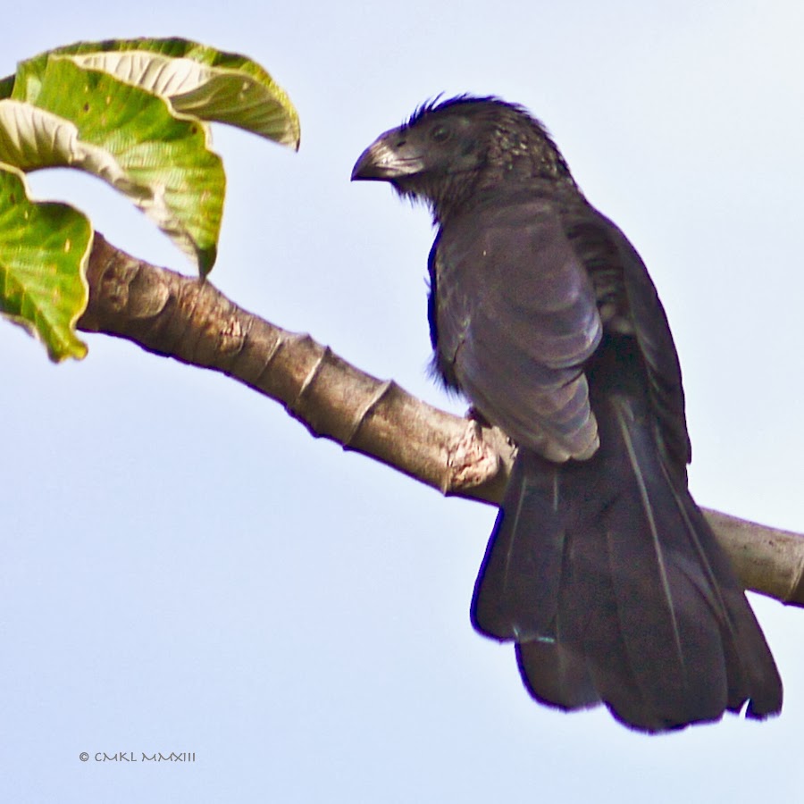 b0eb7-ani-05-1200307