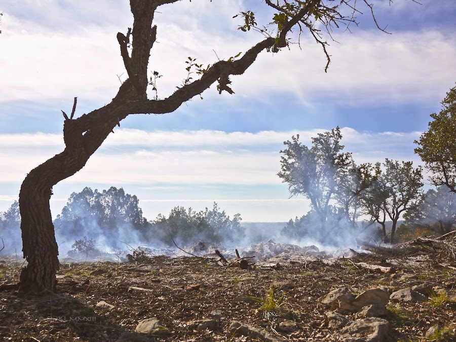 28b63-bonfire-16-1210561