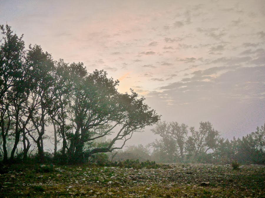 51db0-dawn-02-1210345