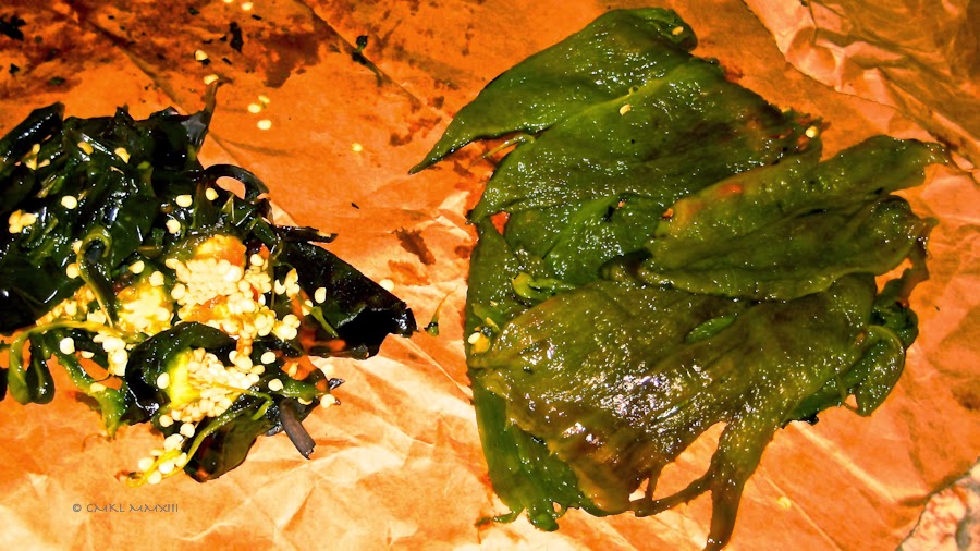 52c4a-texmex-05-6118