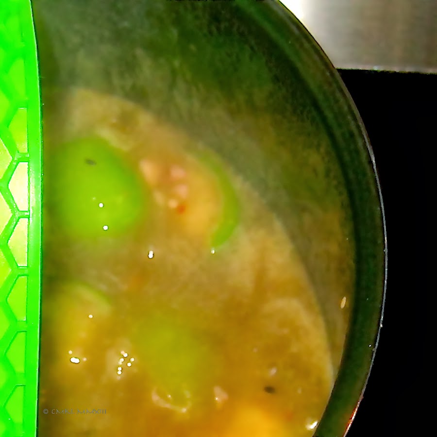 c0034-texmex-03-6111