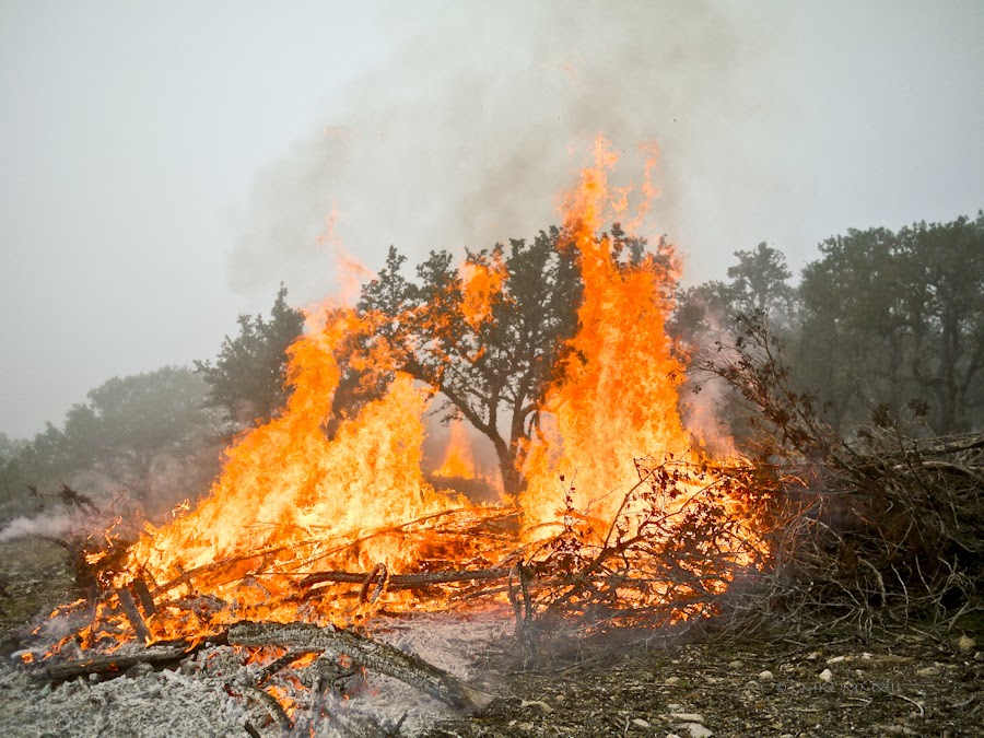 e1c60-bonfire-06-1210434