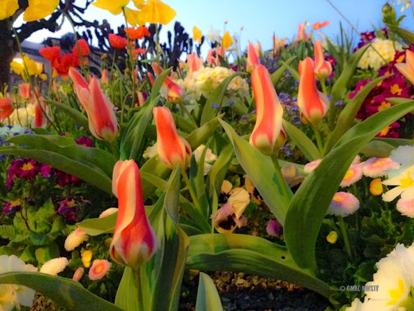 2de16-random-11-5630