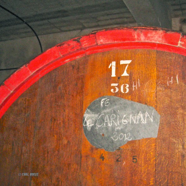 6b278-montpeyroux-33-6875