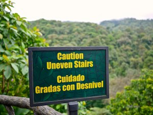 LaPaz.Animals.04-1270915