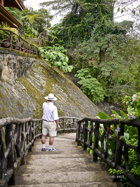 LaPaz.Animals.05-1270916