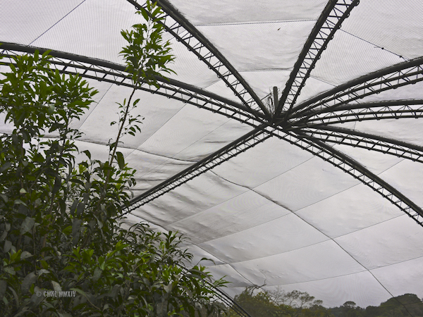 LaPaz.Animals.08-1270922