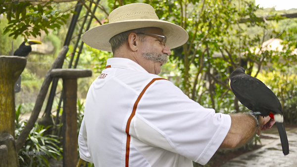 LaPaz.Animals.15-1270928