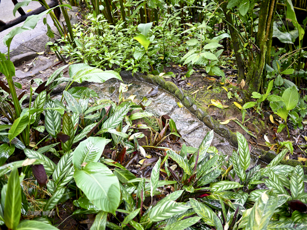 LaPaz.Animals.23-1270964