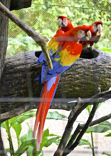 LaPaz.Animals.26-1270959