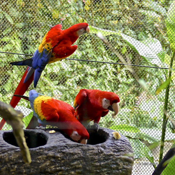 LaPaz.Animals.27-1270960