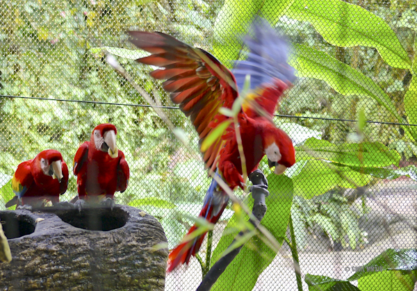 LaPaz.Animals.28-1270961