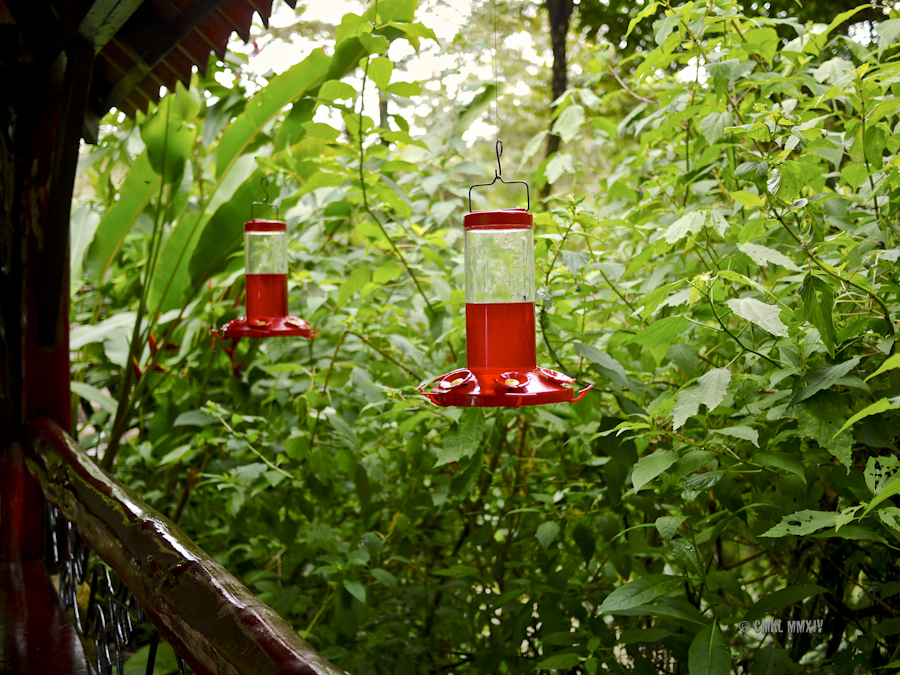 LaPaz.Hum.02-1280142