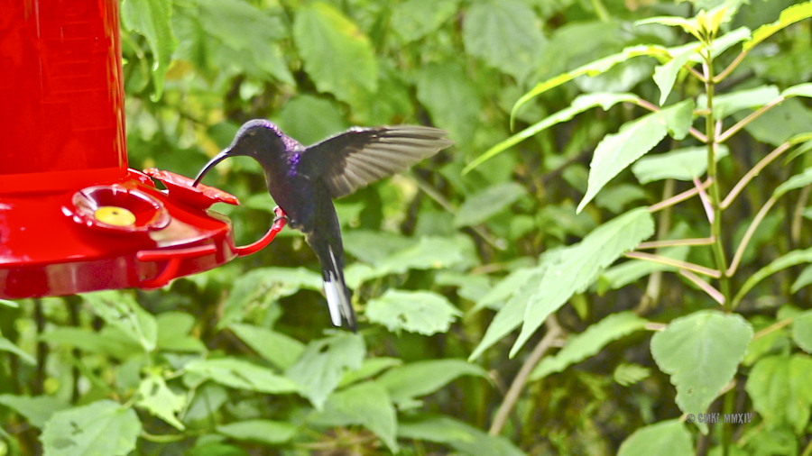 LaPaz.Hum.04-1280129