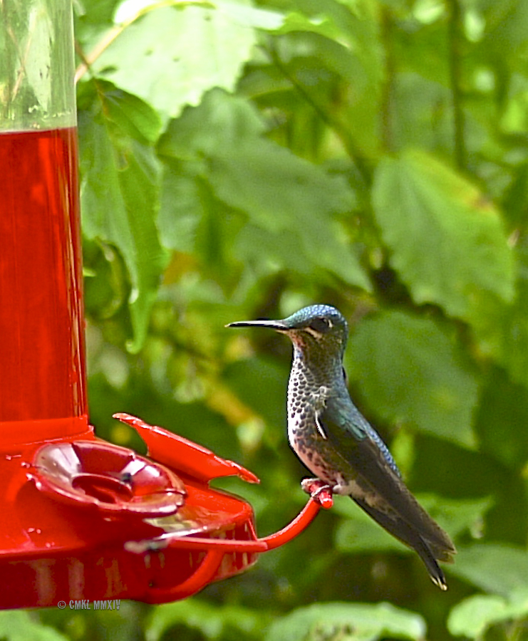 LaPaz.Hum.05-1280123