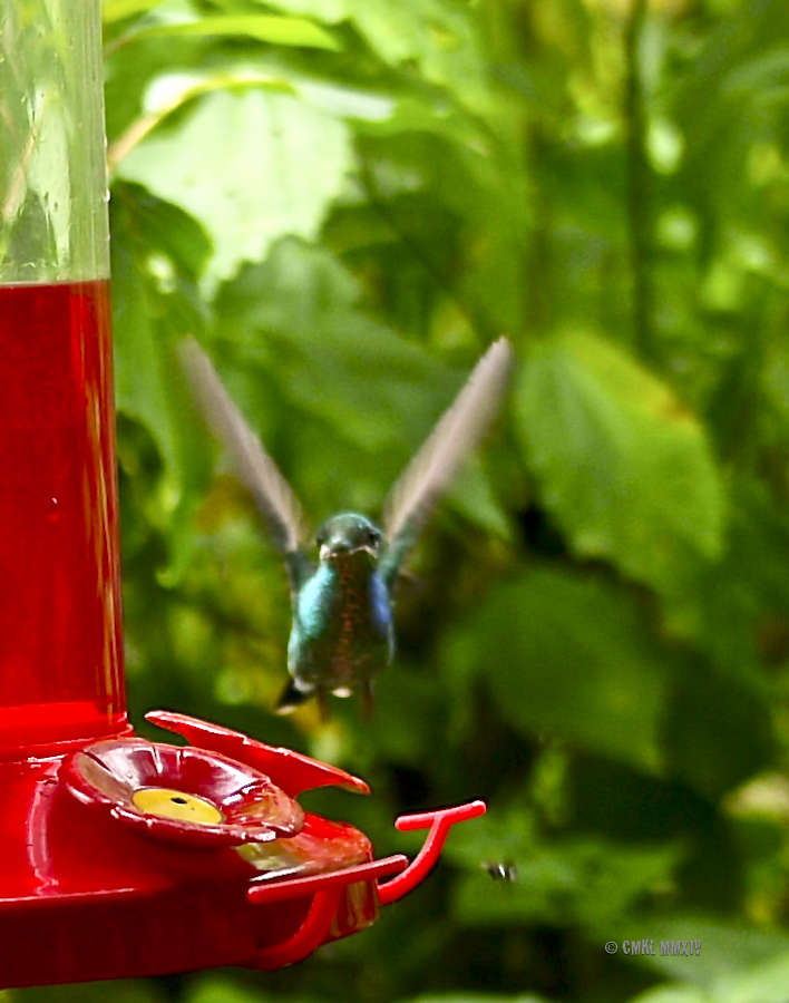 LaPaz.Hum.06-1280117