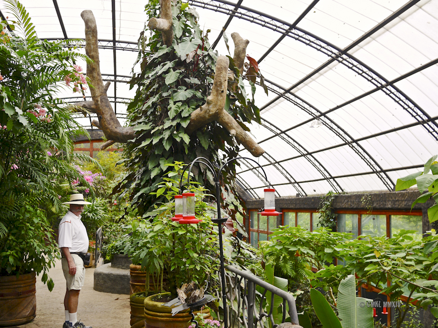 LaPaz.Lepidoptera.03-1270970