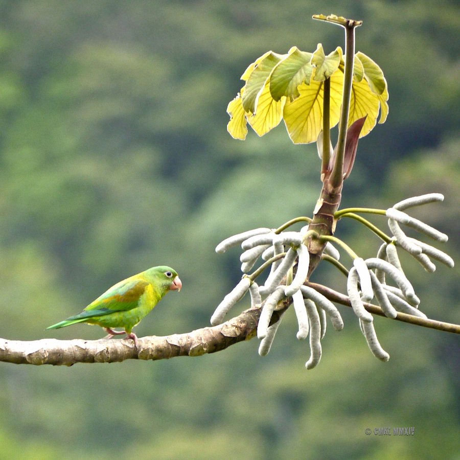 ... almost there ...