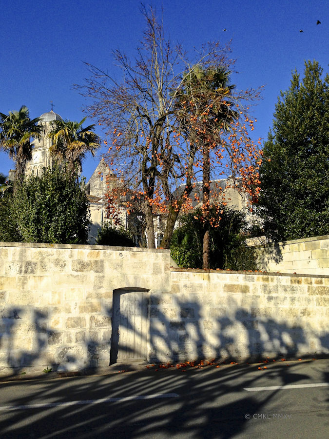 St-Sylvestre.03-8342