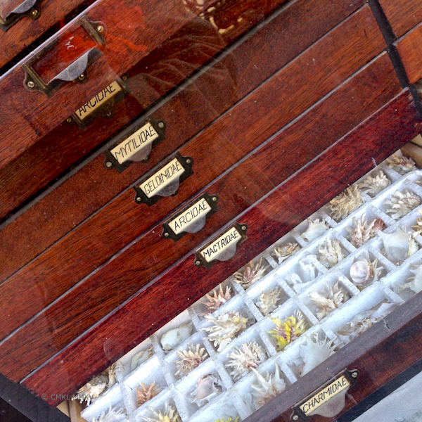 KingDay.Amsterdam.06-9682