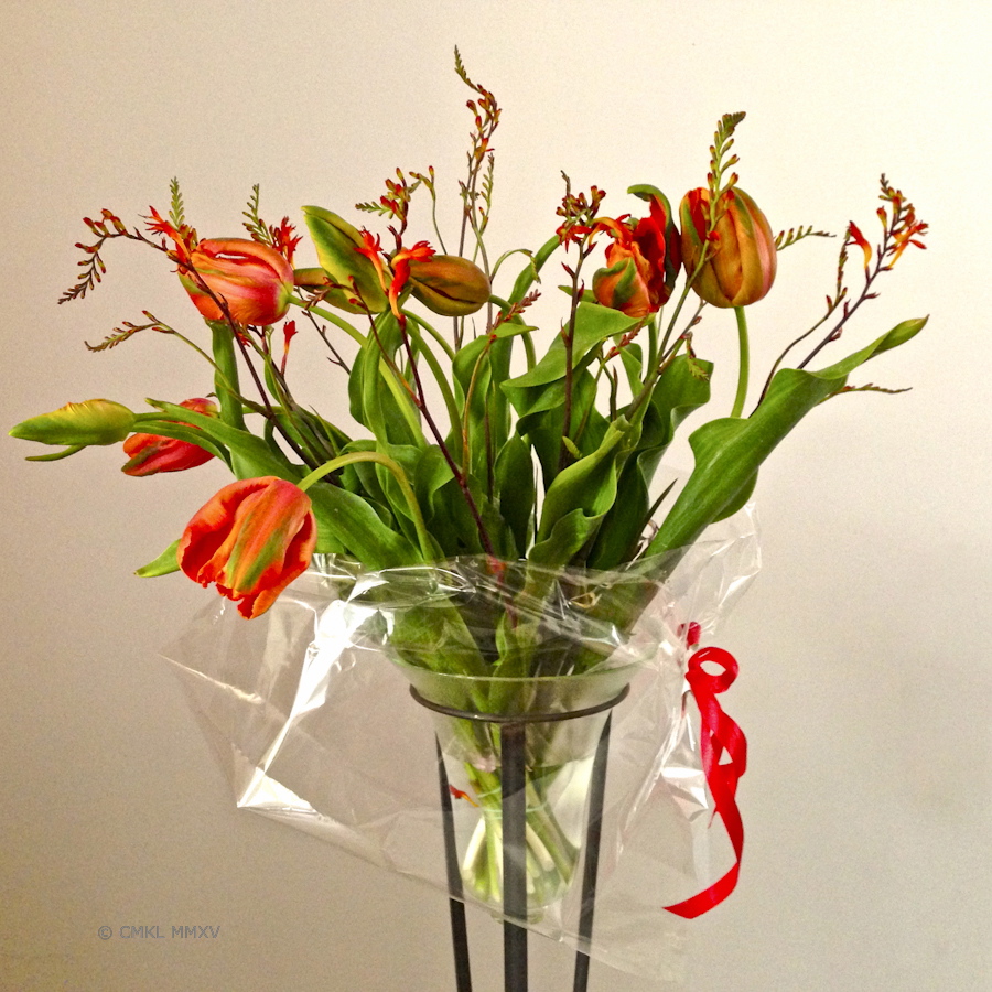 (these are actually French Tulips from Avignon, just don't tell anyone, ok?)