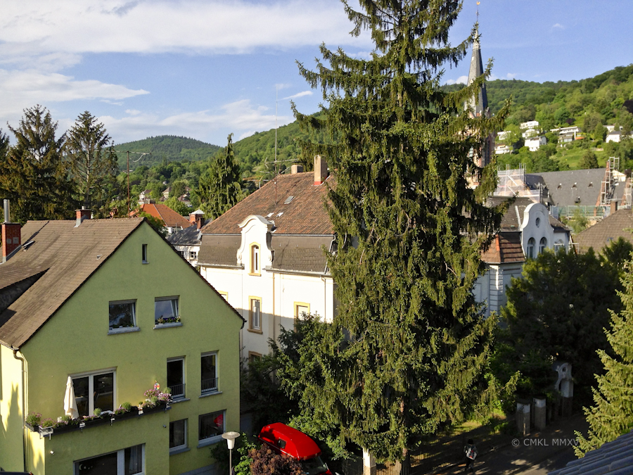 A view from the top floor living area in our temporary home