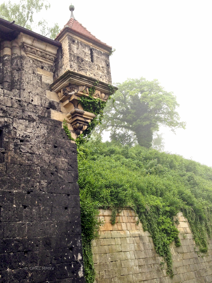 The fog lends a lovely forbidding atmosphere