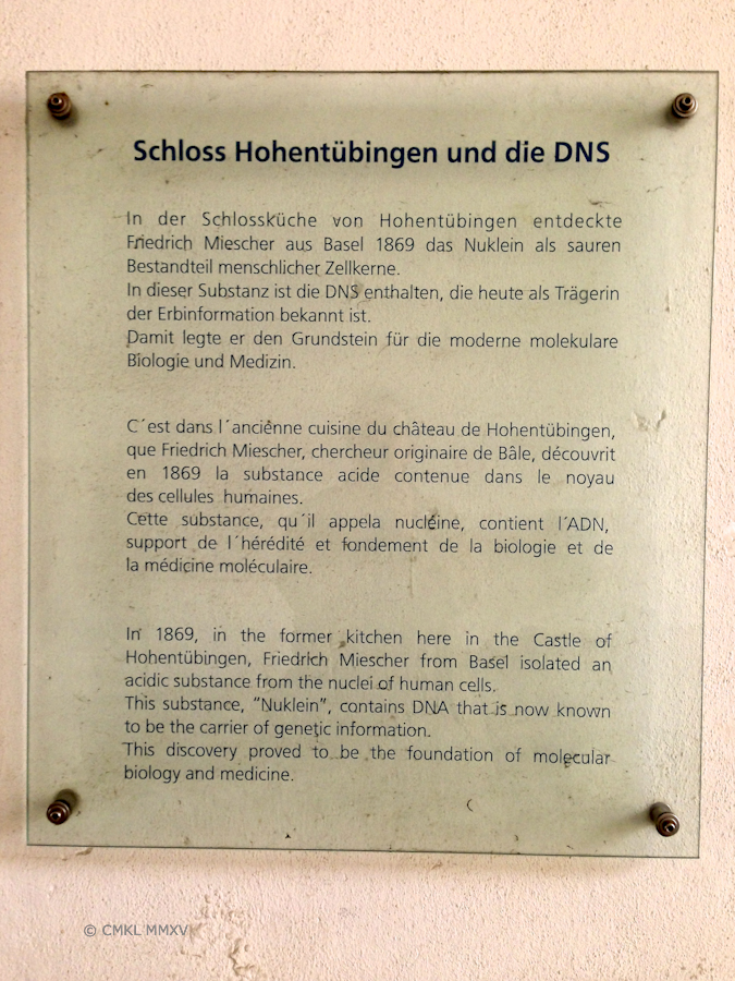 Friedrich Miescher cooked here!